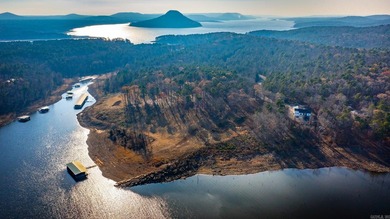 Don't miss this rare opportunity to own a premium lakeview lot - photo 23