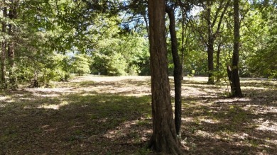 Stunning Wooded 2.3 Acre Lot with 404 ft of Shoreline! - photo 3