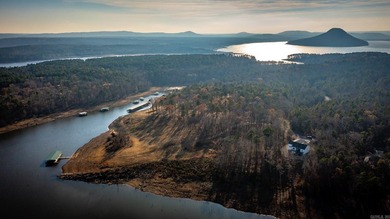 Don't miss this rare opportunity to own a premium lakeview lot - photo 24