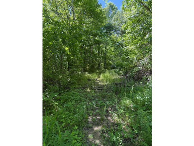 Escape to your own private retreat with this secluded 6.4 acre - photo 25