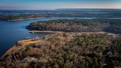 Don't miss this rare opportunity to own a premium lakeview lot - photo 27