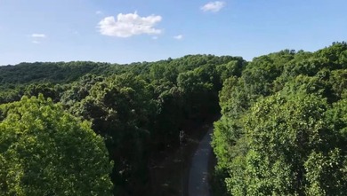 Escape to your own private retreat with this secluded 6.4 acre - photo 27