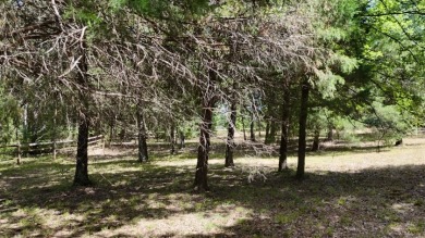 Stunning Wooded 2.3 Acre Lot with 404 ft of Shoreline! - photo 37