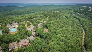 Don't miss this rare opportunity to own a premium lakeview lot - photo 33
