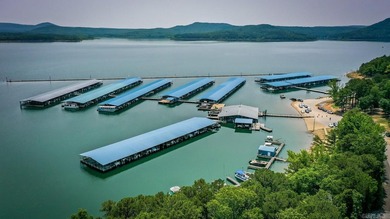Don't miss this rare opportunity to own a premium lakeview lot - photo 35