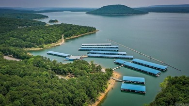 Don't miss this rare opportunity to own a premium lakeview lot - photo 38