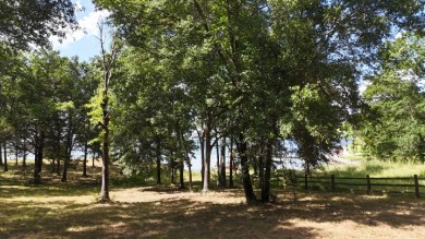 Stunning Wooded 2.3 Acre Lot with 404 ft of Shoreline! - photo 26