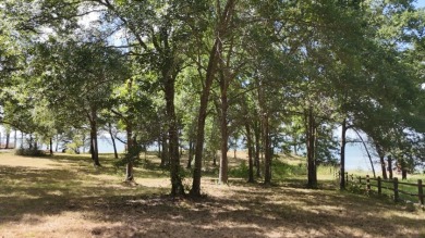 Stunning Wooded 2.3 Acre Lot with 404 ft of Shoreline! - photo 39