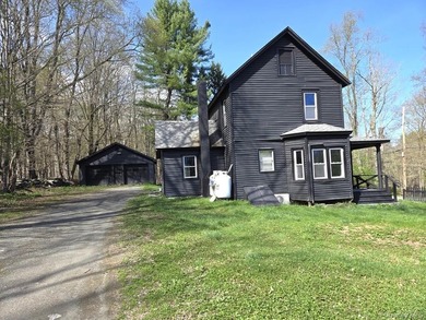 Come and see this opportunity in Mongaup Valley, NY with both - photo 11