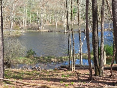 Come and see this opportunity in Mongaup Valley, NY with both - photo 13