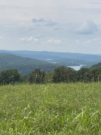 Lake Lot Off Market in Speedwell, Tennessee