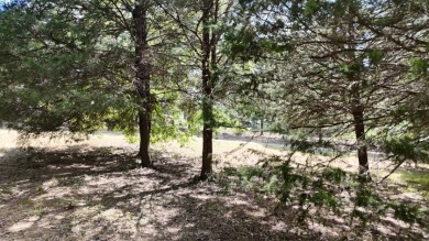 Stunning Wooded 2.3 Acre Lot with 404 ft of Shoreline! - photo 12