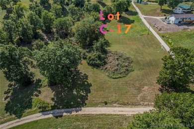 Large Building lot in Johnsons Bay subdivision! lot is 9/10 of - photo 10