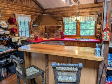 This impeccably maintained, climate-controlled, historic Log - photo 15