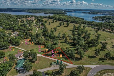 Another great lot in Johnson's Bay Subdivision! Lots of new - photo 8