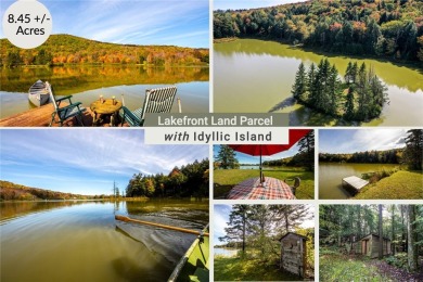 Whiting Hollow Lake Acreage For Sale in Jefferson New York