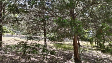 Stunning Wooded 2.3 Acre Lot with 404 ft of Shoreline! - photo 17