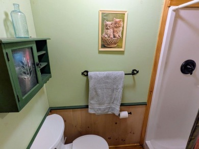This impeccably maintained, climate-controlled, historic Log - photo 36