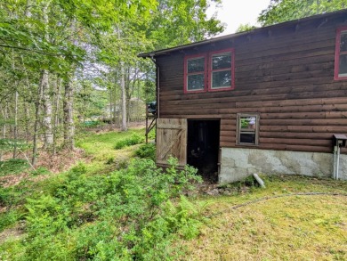 This impeccably maintained, climate-controlled, historic Log - photo 50