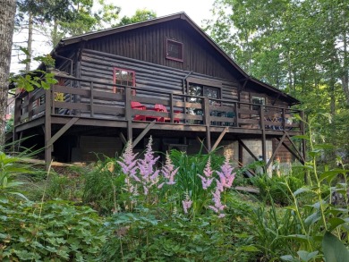 This impeccably maintained, climate-controlled, historic Log - photo 53