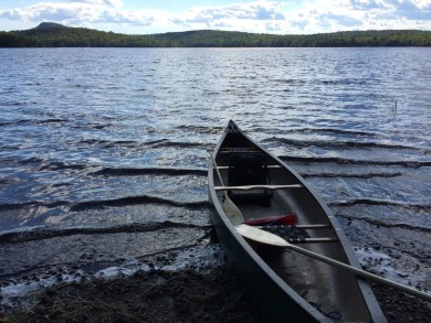 This impeccably maintained, climate-controlled, historic Log - photo 56