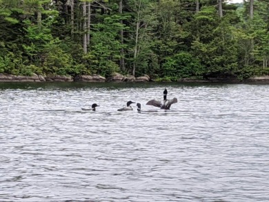 This impeccably maintained, climate-controlled, historic Log - photo 58