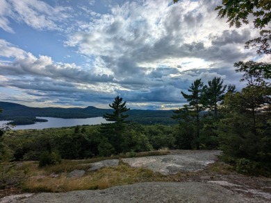 This impeccably maintained, climate-controlled, historic Log - photo 60
