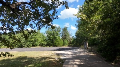 Stunning Wooded 2.3 Acre Lot with 404 ft of Shoreline! - photo 40