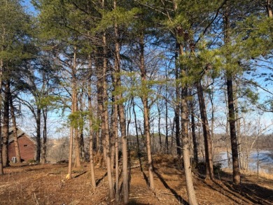 Motivated Sellers!  Year Round Water View; even at winter pool! - photo 7