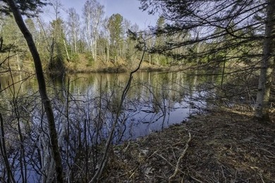 A rare opportunity to own a pretty peninsula parcel within the - photo 11