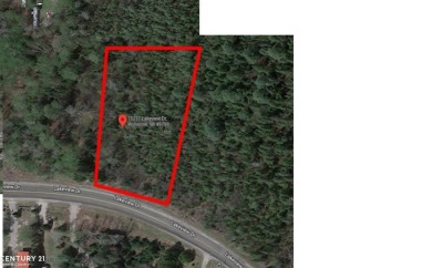Wildwood Lake - Cheboygan County Lot For Sale in Wolverine Lake Michigan