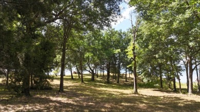 Stunning Wooded 2.3 Acre Lot with 404 ft of Shoreline! - photo 30