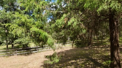 Stunning Wooded 2.3 Acre Lot with 404 ft of Shoreline! - photo 42