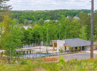 Lake Acreage For Sale in Connelly Springs, North Carolina