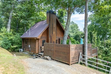 Cherry Log Lake Home For Sale in Blue Ridge Georgia