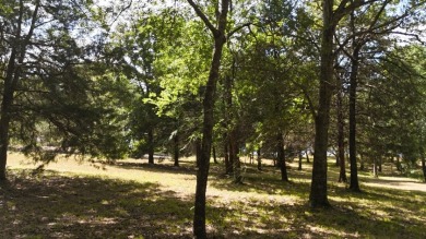 Stunning Wooded 2.3 Acre Lot with 404 ft of Shoreline! - photo 13