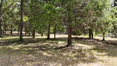 Stunning Wooded 2.3 Acre Lot with 404 ft of Shoreline! - photo 31