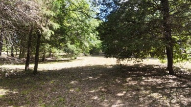 Stunning Wooded 2.3 Acre Lot with 404 ft of Shoreline! - photo 7