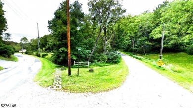 Lake Lot For Sale in Wantage Twp., New Jersey