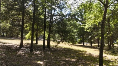 Stunning Wooded 2.3 Acre Lot with 404 ft of Shoreline! - photo 8