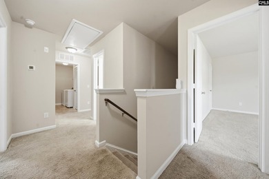 Located in sought-after Eagles Rest, one of Chapin's most - photo 14
