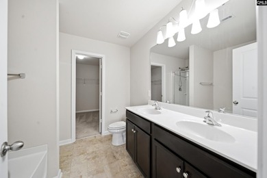 Located in sought-after Eagles Rest, one of Chapin's most - photo 16