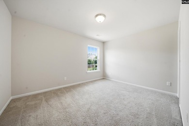 Located in sought-after Eagles Rest, one of Chapin's most - photo 19