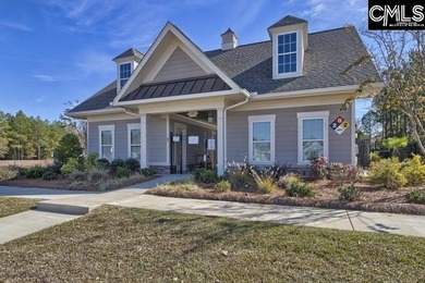 Located in sought-after Eagles Rest, one of Chapin's most - photo 26