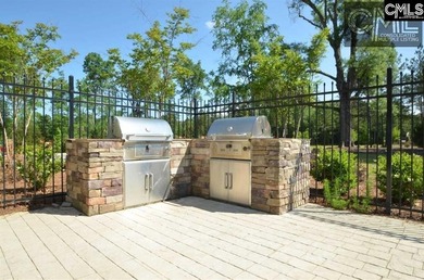 Located in sought-after Eagles Rest, one of Chapin's most - photo 27