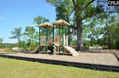 Located in sought-after Eagles Rest, one of Chapin's most - photo 28