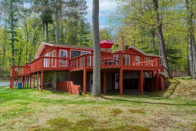 Lotus Lake - This impressive 4 bedroom, 2 bath home boasts over - photo 28