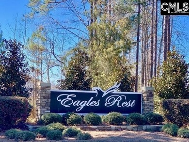 Located in sought-after Eagles Rest, one of Chapin's most - photo 29