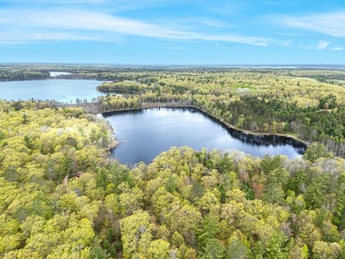 Lotus Lake - This impressive 4 bedroom, 2 bath home boasts over - photo 29