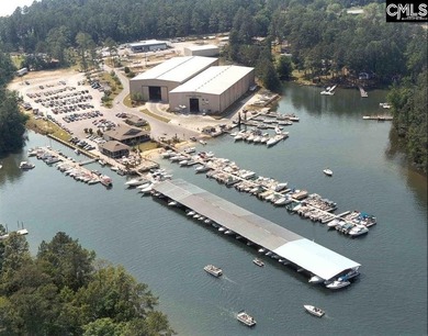 Located in sought-after Eagles Rest, one of Chapin's most - photo 30